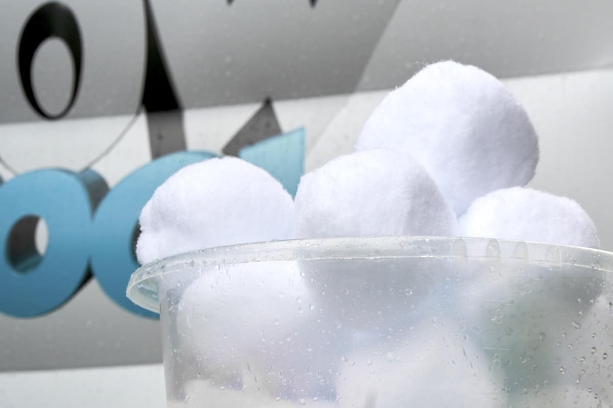 Fresh snowballs in a cup of water